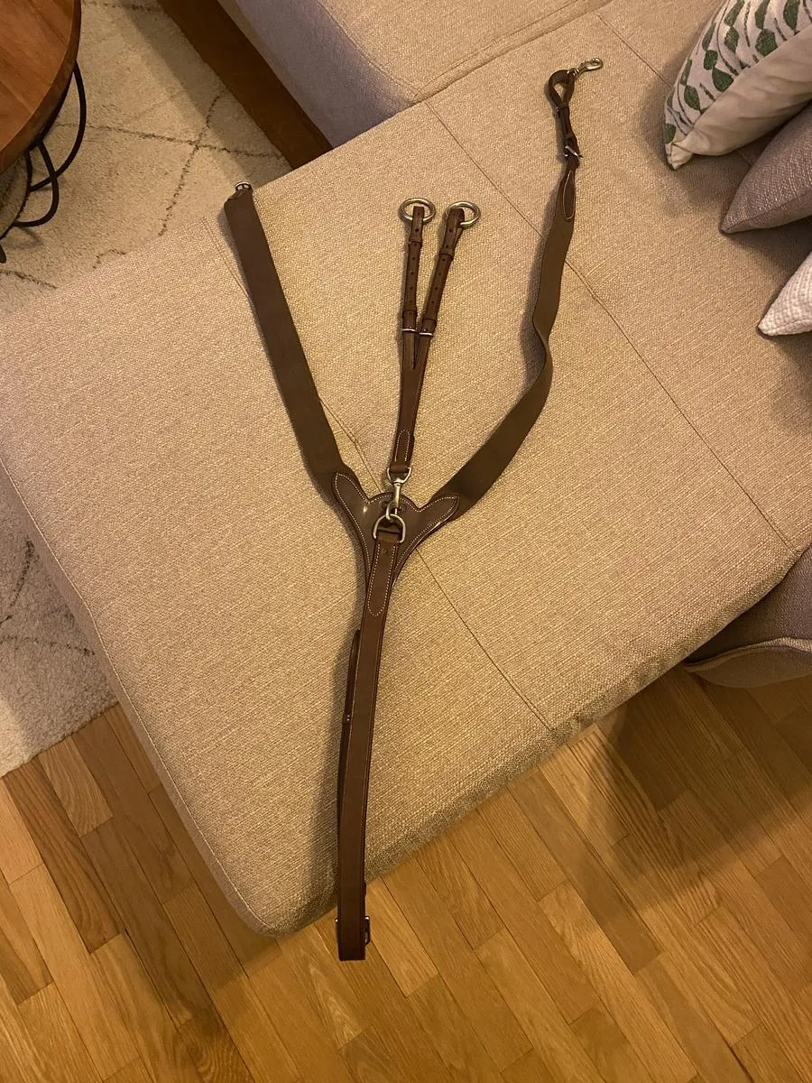 Collier de chasse CWD