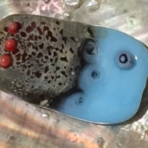 Focal Glass Bead, Murano Glass, Lampwork, Handmade Glass Bead, Pearl 5633.