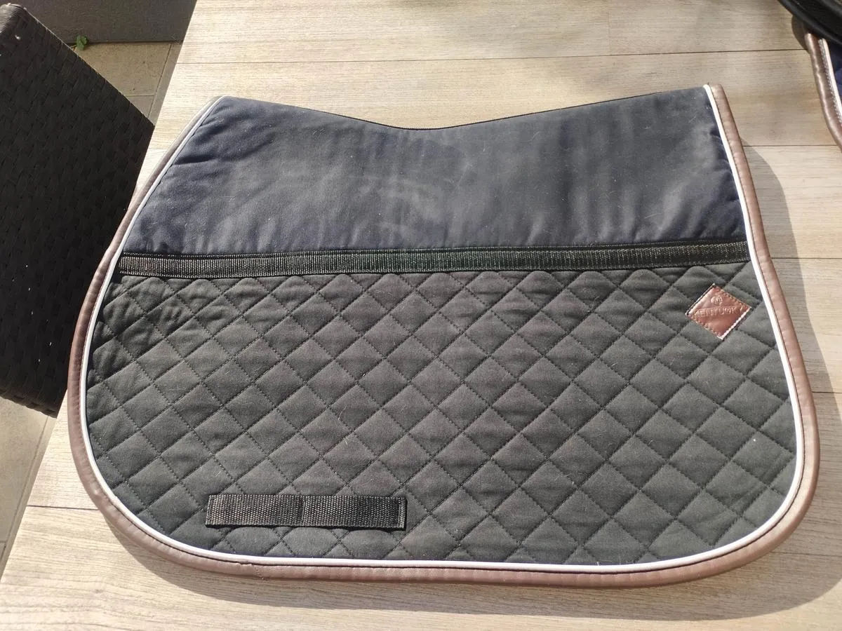 Kentucky smart absorbent rug