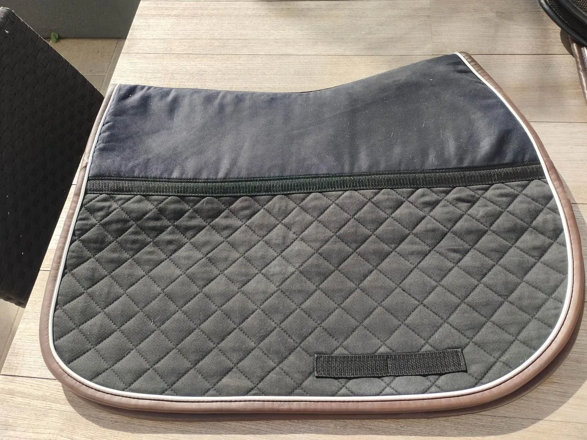 Kentucky smart absorbent rug