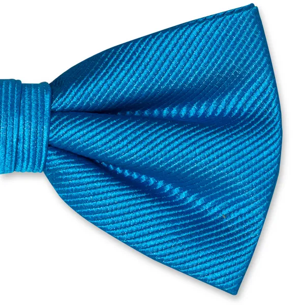 Noeuds papillon / Nœud papillon homme bleu vif