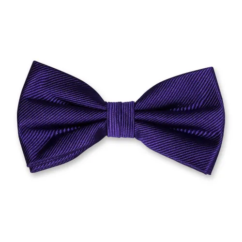 Noeuds papillon / Nœud papillon homme violet foncé I